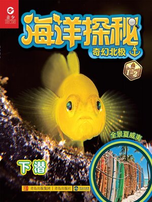 cover image of 奇幻北极